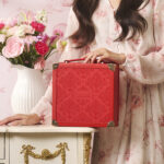 La Levain red luggage gift box with Momoyama Cantonese mooncakes