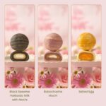 Baked Flakey Spiral Teochew Mooncake Flavours