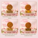 Traditional Cantonese Mooncake Flavours