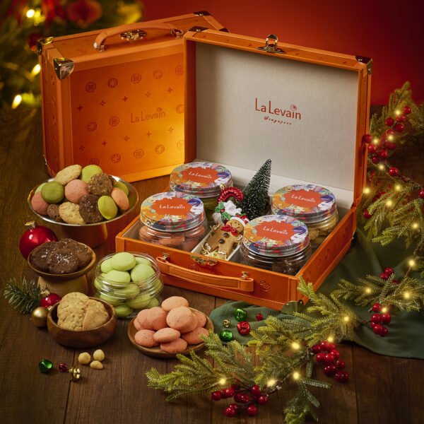 Luxurious Designer Suitcase